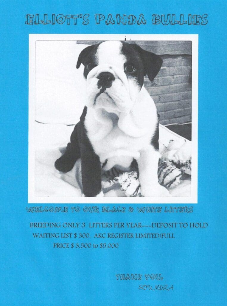 PANDA COVER PAGE